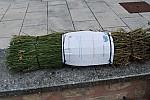 DSC_0006.jpg DSC_0006.jpg