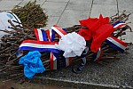 DSC_0012.jpg DSC_0012.jpg