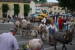 DSC_0016.jpg DSC_0016.jpg