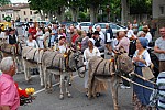 DSC_0017.jpg DSC_0017.jpg