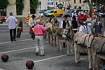 DSC_0018.jpg DSC_0018.jpg