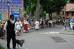 DSC_0029.jpg DSC_0029.jpg