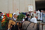 DSC_0075.jpg DSC_0075.jpg