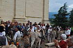 DSC_0077.jpg DSC_0077.jpg