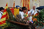 DSC_0081.jpg DSC_0081.jpg