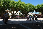 DSC_0115.jpg DSC_0115.jpg