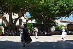 DSC_0123.jpg DSC_0123.jpg