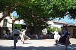 DSC_0130.jpg DSC_0130.jpg