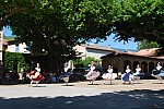 DSC_0146.jpg DSC_0146.jpg