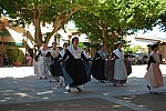 DSC_0152.jpg DSC_0152.jpg