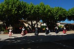 DSC_0155.jpg DSC_0155.jpg