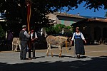 DSC_0158.jpg DSC_0158.jpg
