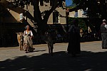 DSC_0159.jpg DSC_0159.jpg