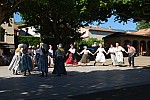 DSC_0175.jpg DSC_0175.jpg