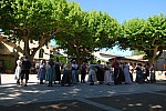 DSC_0181.jpg DSC_0181.jpg