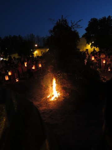 feu caumont 2016 MS_04.jpg