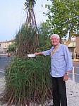 Feu St-Jean le Thor Mireille 2015_09.jpg Feu St-Jean le Thor Mireille 2015_09.jpg