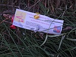 Feu St-Jean le Thor Mireille 2015_13.jpg Feu St-Jean le Thor Mireille 2015_13.jpg
