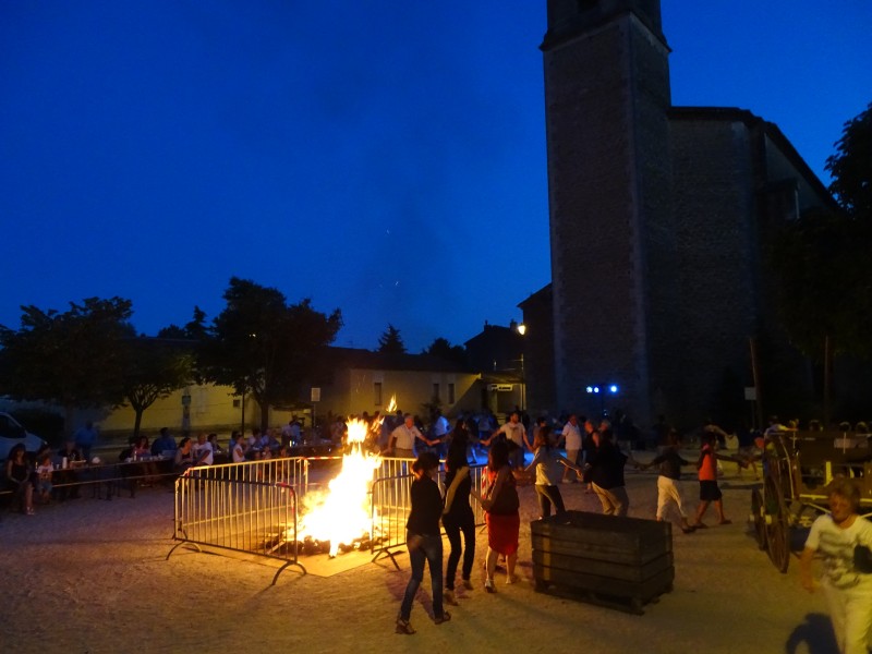 DSC03031.jpg