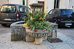 DSC_0346.jpg DSC_0346.jpg