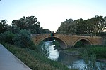 DSC_0374.jpg DSC_0374.jpg
