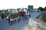 DSC_0382.jpg DSC_0382.jpg