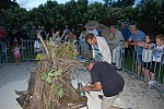 DSC_0393.jpg DSC_0393.jpg