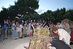DSC_0394.jpg DSC_0394.jpg