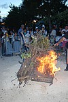 DSC_0396.jpg DSC_0396.jpg
