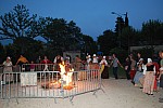 DSC_0403.jpg DSC_0403.jpg