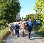 Feu St Jean La Roque 25 juin 2018 (2).jpg Feu St Jean La Roque 25 juin 2018 (2).jpg