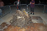 DSC_0495.jpg DSC_0495.jpg