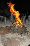 DSC_0498.jpg DSC_0498.jpg