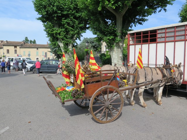 Recampado Daniel 2016_04.jpg