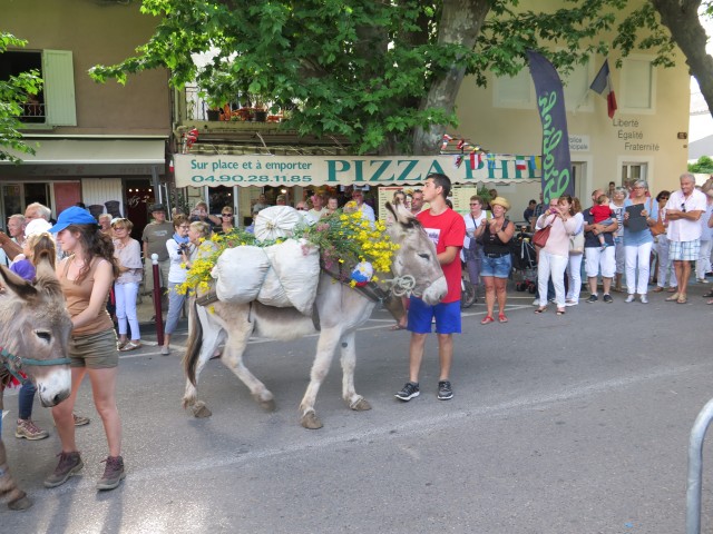 Recampado Daniel 2016_41.jpg