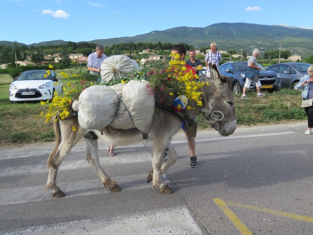 Recampado Daniel 2016_44.jpg