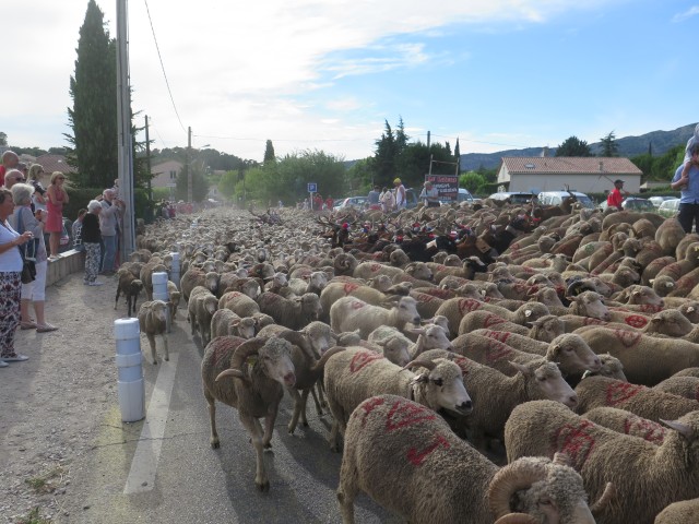 Recampado Daniel 2016_46.jpg