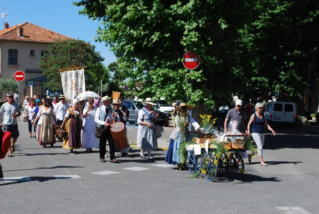DSC_0015.jpg