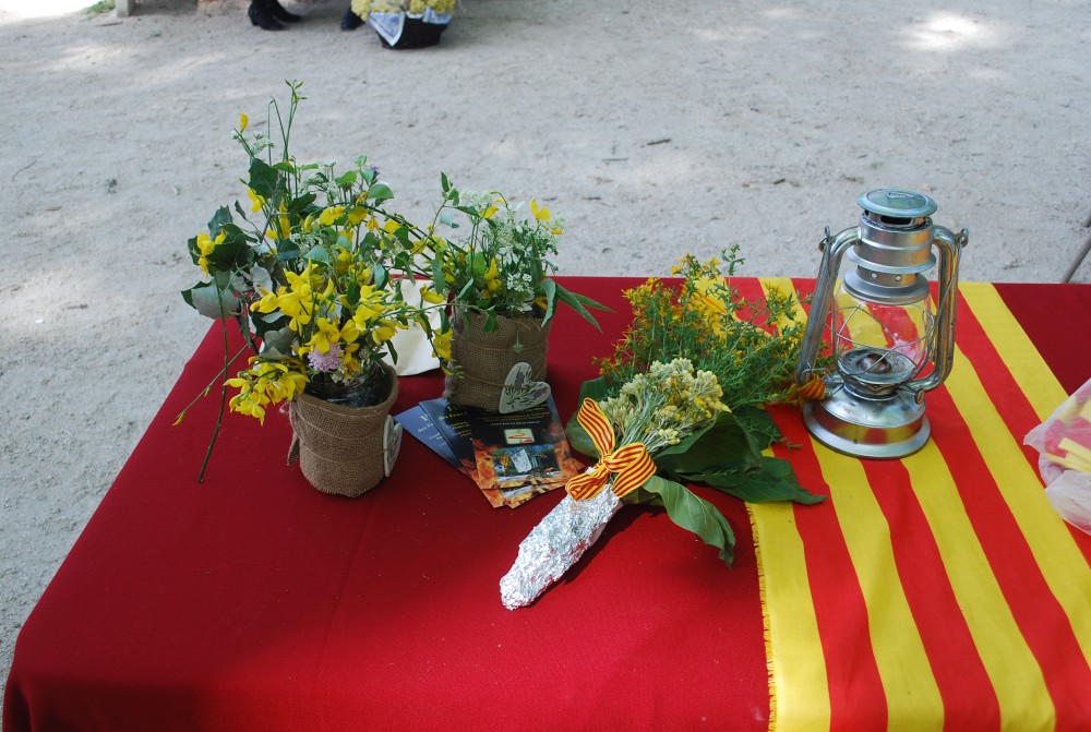 recampado_sorgues_2021_21.jpg