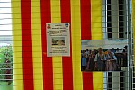 DSC_0196.jpg