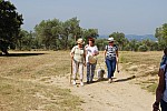 DSC_0224.jpg