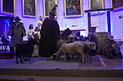 DSC_0043.jpg
