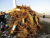 St jean Ventoux 2016.jpg St jean Ventoux 2016.jpg