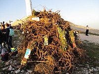 St jean Ventoux 2016.jpg