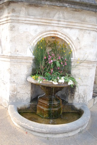 DSC_0136.jpg