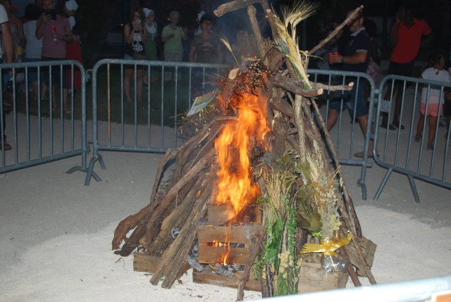 DSC_0176.jpg