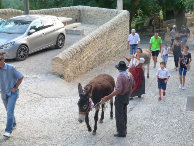 Feux 2017 La Roque sur Pernes (110).jpg