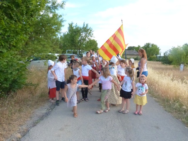 Feux 2017 La Roque sur Pernes (112).jpg