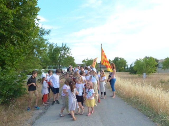 Feux 2017 La Roque sur Pernes (113).jpg