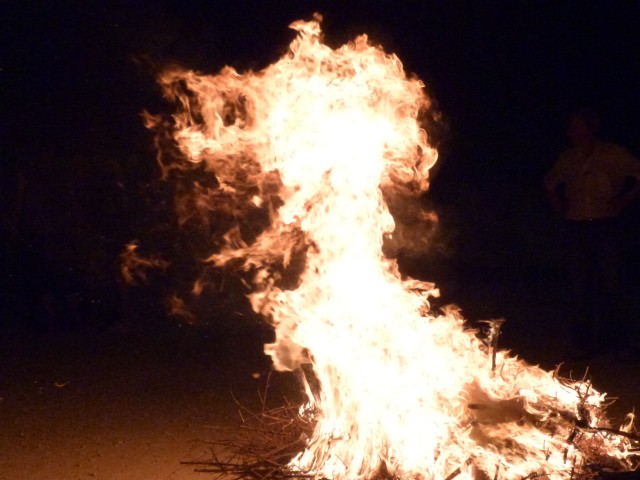 Feux 2017 La Roque sur Pernes (159).jpg